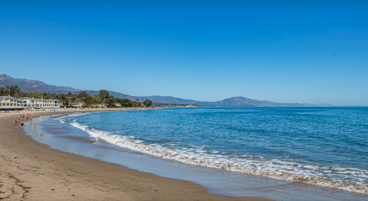 Fern Home - Image 18